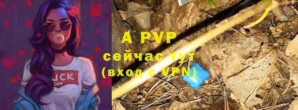 молекула духа Балахна