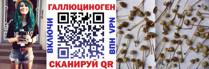 blacksprut онион  Озёрск  нарко площадка Telegram  Галлюциногенные грибы GOLDEN TEACHER 